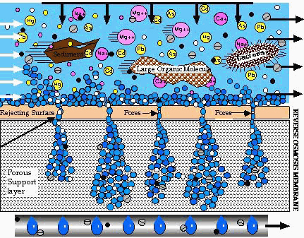 Depiction of a Reverse Osmosis Filter in action.