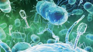 pathogens in water